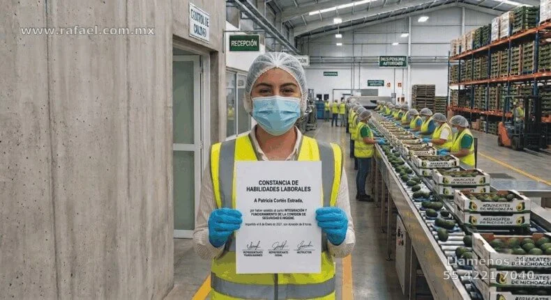 Integrante de la comisión de seguridad e higiene, exhibiendo su constancia de habilidades laborales